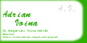 adrian voina business card
